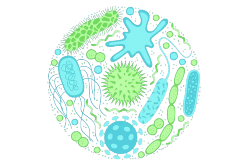 Fungal Vaccines image