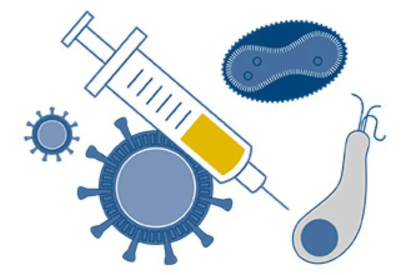 Parasitic Vaccines image